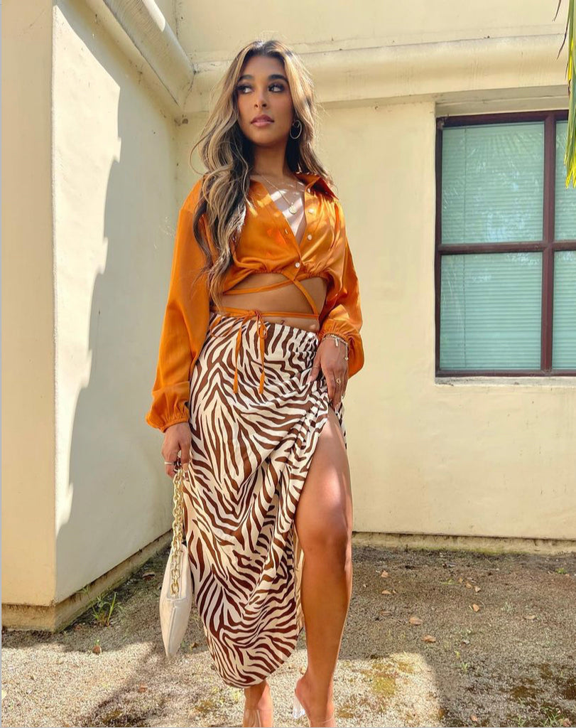 Brown Zebra Skirt MILHA ZEBRA PRINT MESH MAXI SKIRT Simmi London